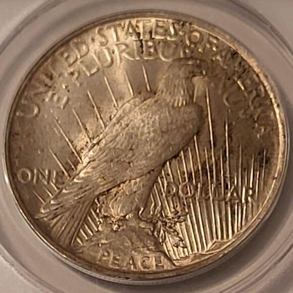 1922 Peace Silver Dollar VAM-52 R5 MS62 ANACS Toned - Picture 4 of 4